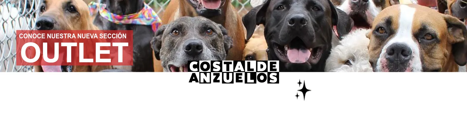 COPA SKATEBOARD COLOMBIA 