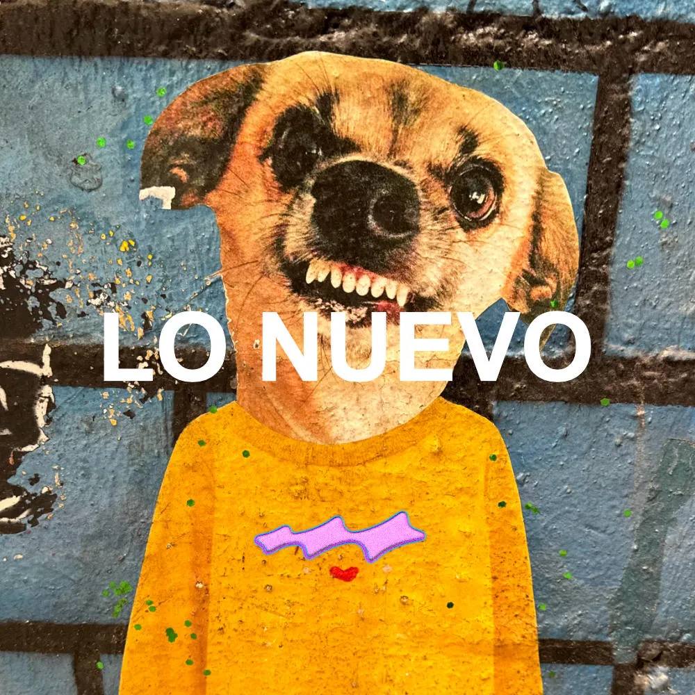 lo-nuevo-Skateshop