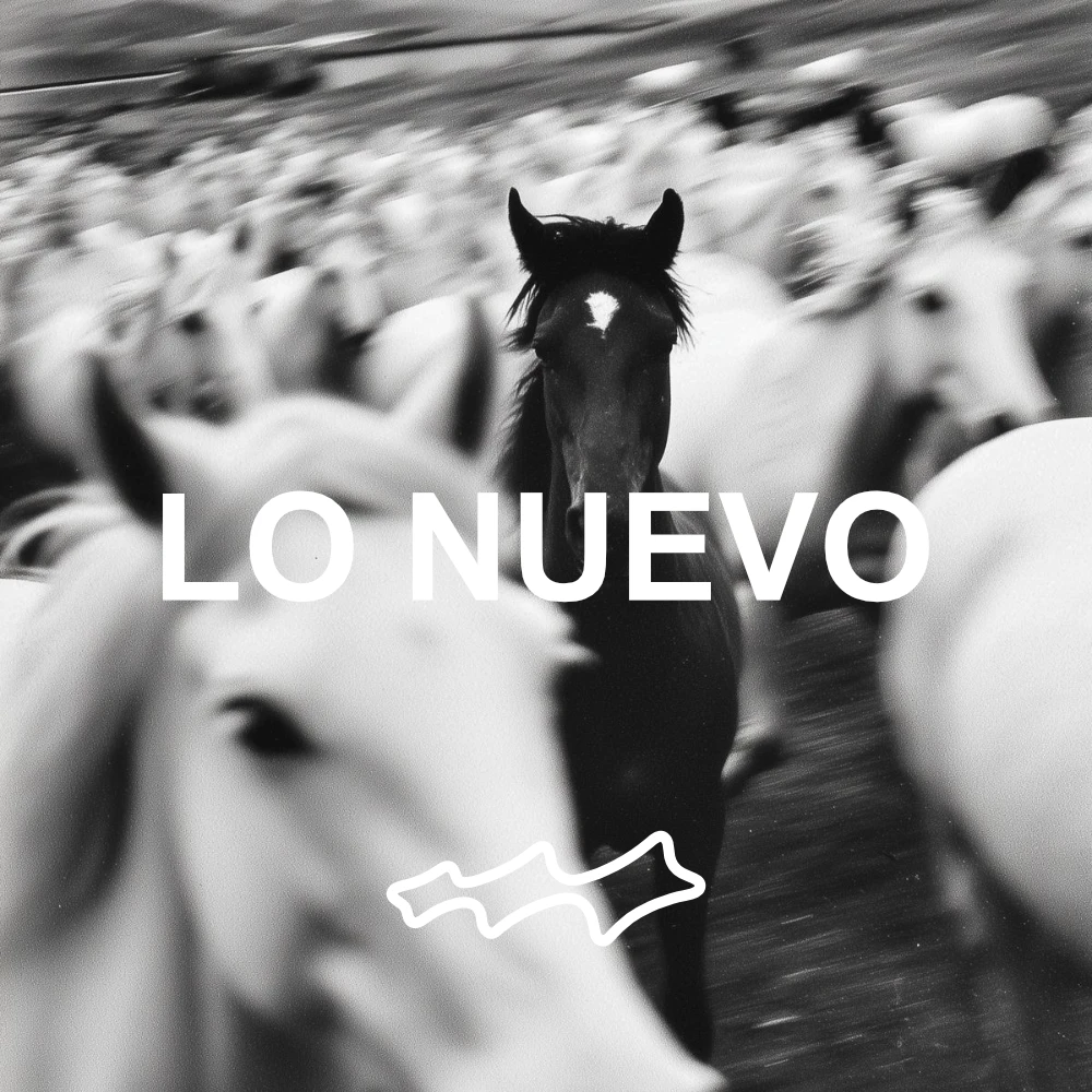 lo-nuevo-Skateshop